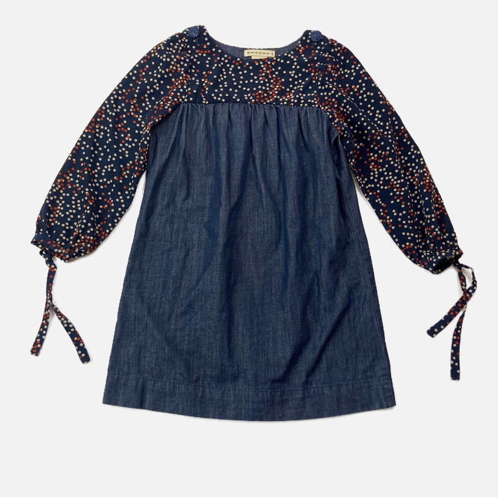 Anthem of the Ants Dress